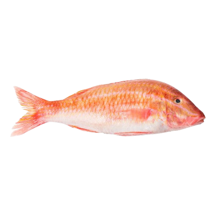 Living marine resources goatfish red mullet